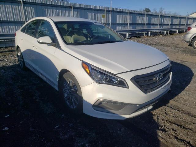 HYUNDAI SONATA SPO 2017 5npe34af1hh493483