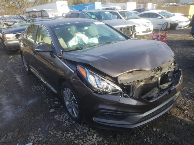 HYUNDAI SONATA SPO 2017 5npe34af1hh503767