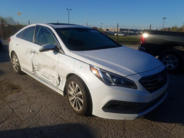 HYUNDAI SONATA SPO 2017 5npe34af1hh546148