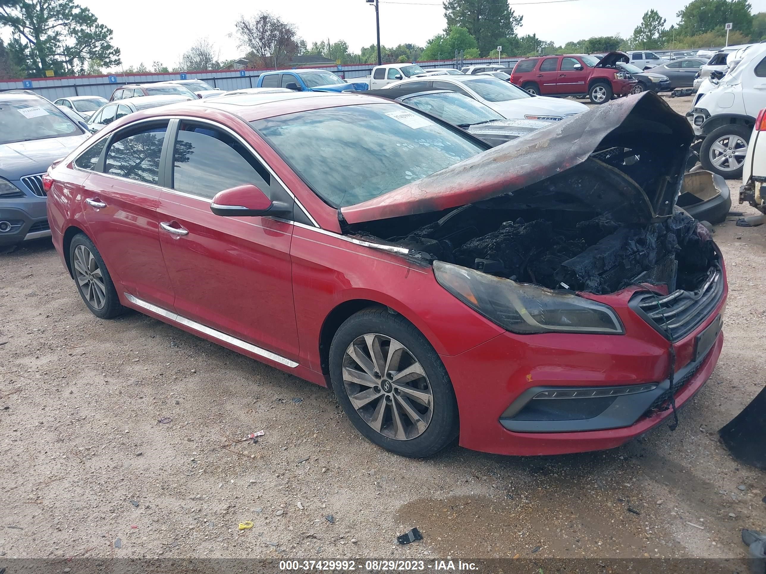 HYUNDAI SONATA 2017 5npe34af1hh551818