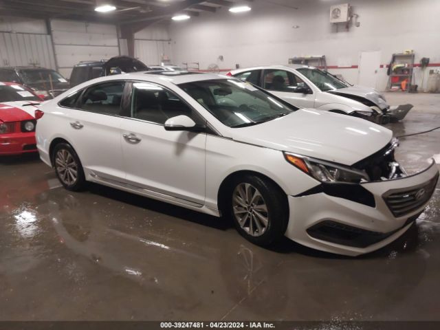 HYUNDAI SONATA 2017 5npe34af1hh552029