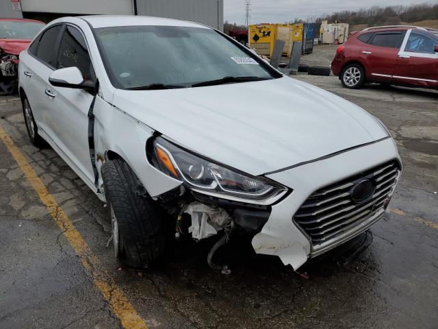 HYUNDAI SONATA SPO 2018 5npe34af1jh612543