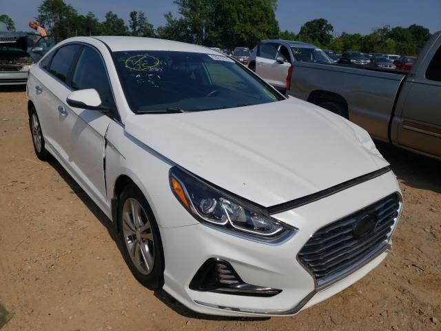 HYUNDAI SONATA SPO 2018 5npe34af1jh642013