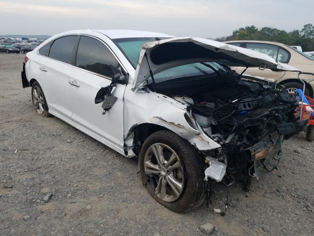 HYUNDAI SONATA SPO 2018 5npe34af1jh653349