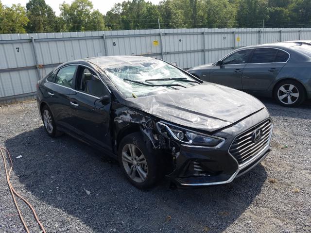 HYUNDAI SONATA SPO 2018 5npe34af1jh661306