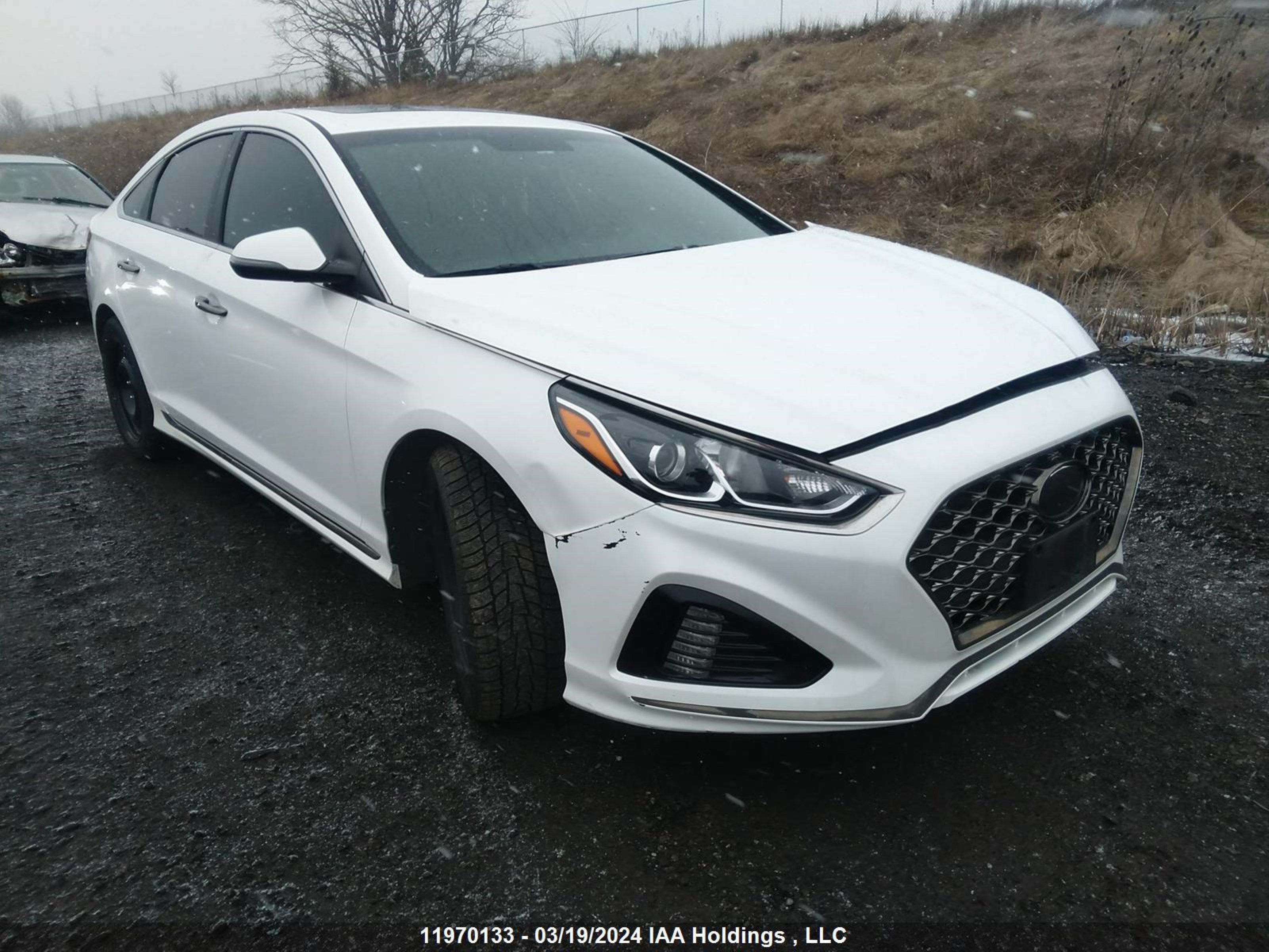 HYUNDAI SONATA 2018 5npe34af1jh698761