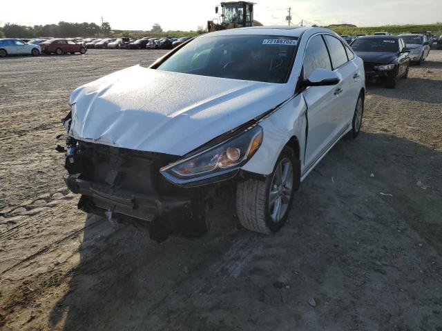 HYUNDAI SONATA SPO 2018 5npe34af1jh712299