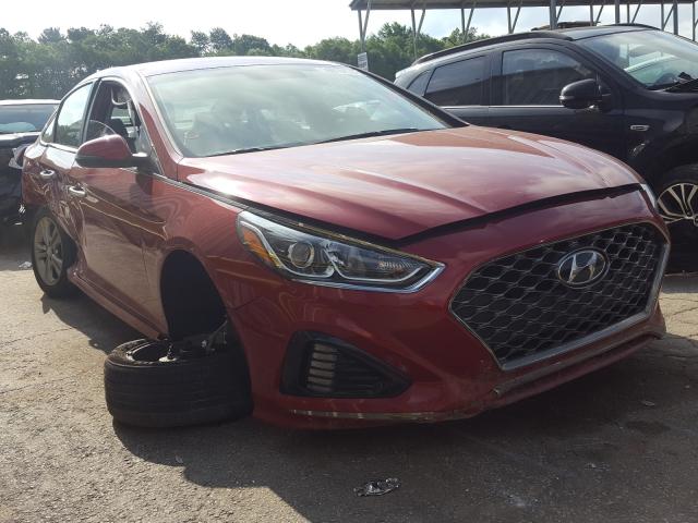 HYUNDAI SONATA LIM 2019 5npe34af1kh745949