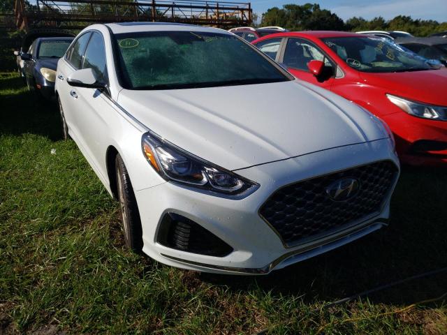 HYUNDAI SONATA 2019 5npe34af1kh746308