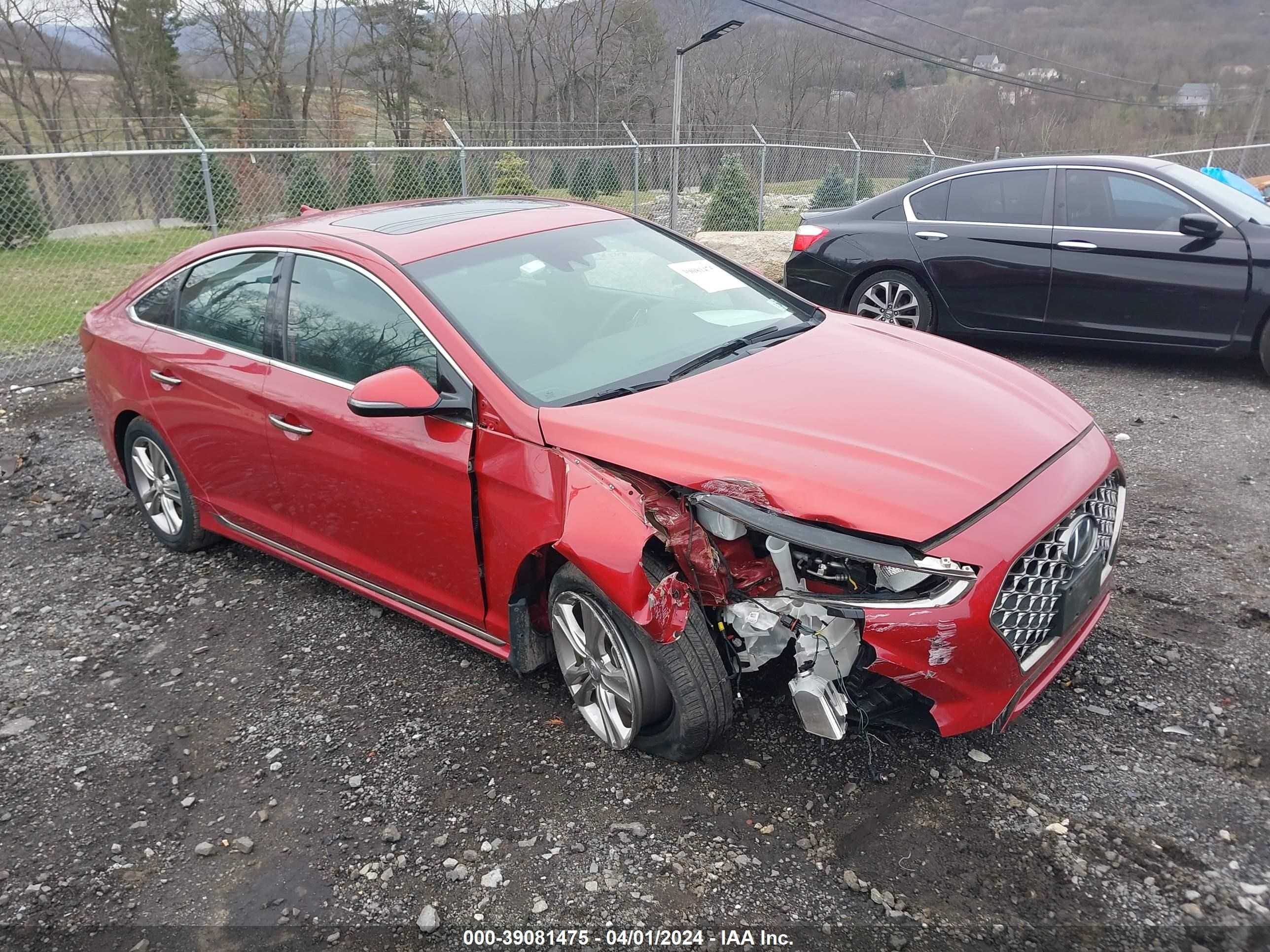 HYUNDAI SONATA 2019 5npe34af1kh748799