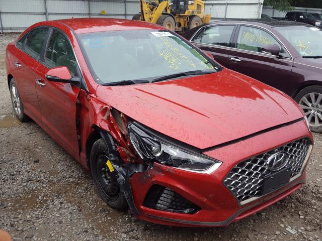 HYUNDAI SONATA LIM 2019 5npe34af1kh787487