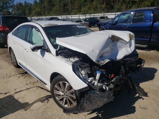 HYUNDAI SONATA SPO 2015 5npe34af2fh020964