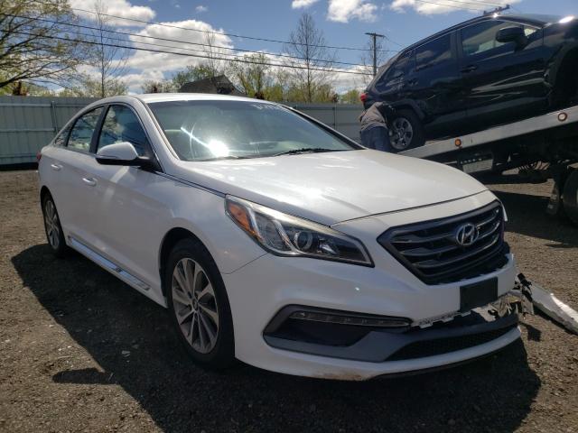 HYUNDAI SONATA SPO 2015 5npe34af2fh064382