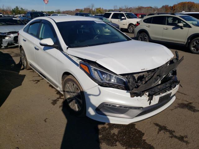 HYUNDAI SONATA SPO 2015 5npe34af2fh084308