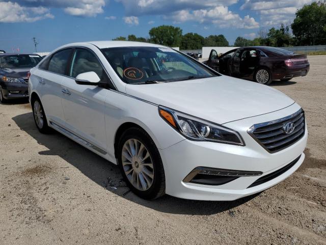 HYUNDAI SONATA SPO 2015 5npe34af2fh102953