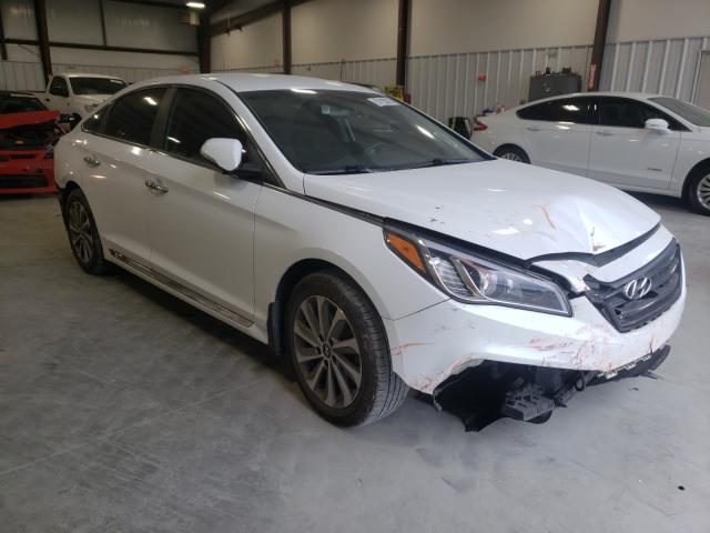 HYUNDAI SONATA SPO 2015 5npe34af2fh117484