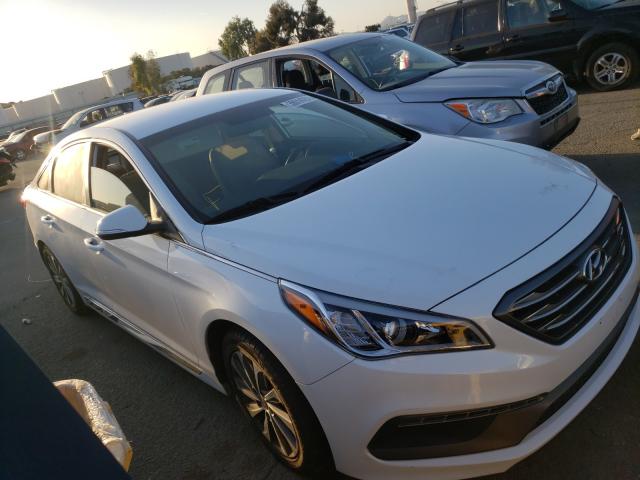 HYUNDAI SONATA SPO 2015 5npe34af2fh122555