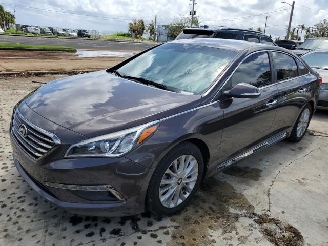 HYUNDAI SONATA SPO 2015 5npe34af2fh138397