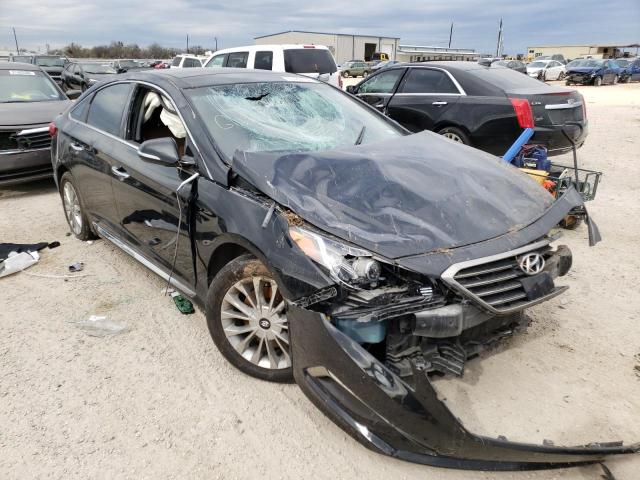 HYUNDAI SONATA SPO 2015 5npe34af2fh150291