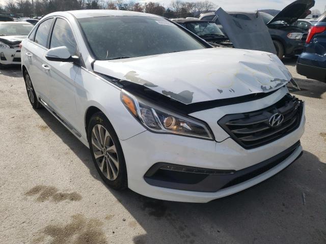 HYUNDAI SONATA SPO 2015 5npe34af2fh170427