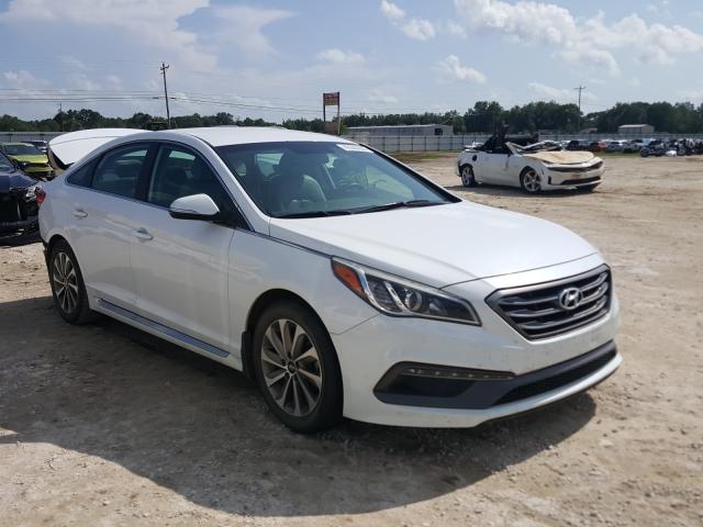 HYUNDAI SONATA SPO 2015 5npe34af2fh209047