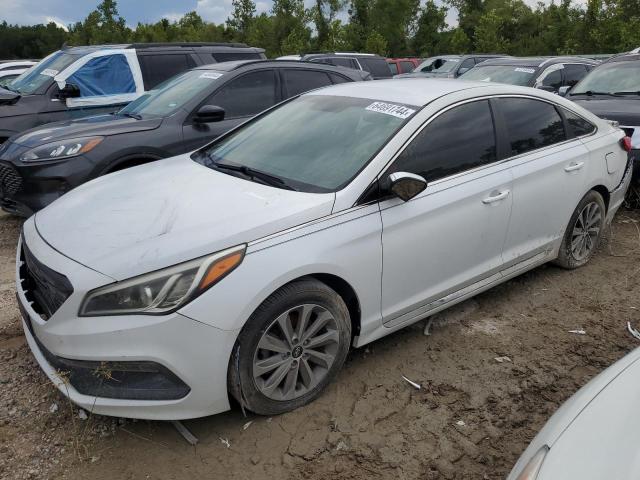 HYUNDAI SONATA SPO 2015 5npe34af2fh244915