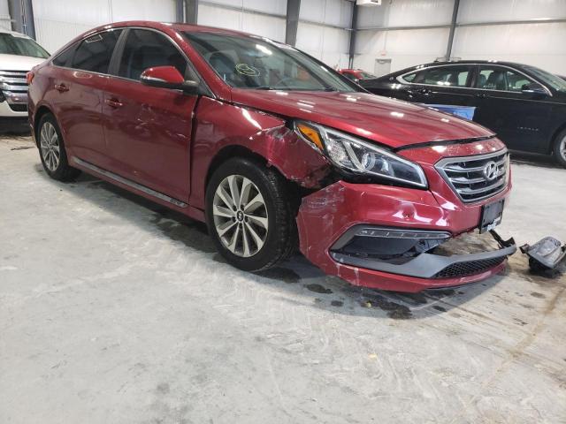 HYUNDAI SONATA SPO 2016 5npe34af2gh265121