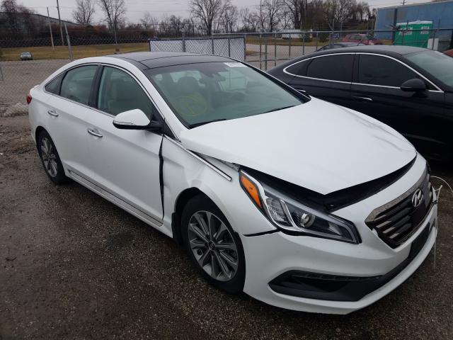 HYUNDAI SONATA SPO 2016 5npe34af2gh282100