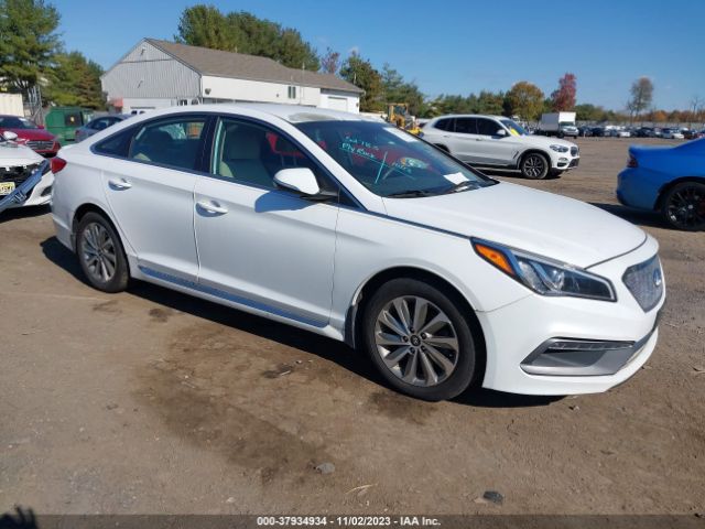 HYUNDAI SONATA 2016 5npe34af2gh290049