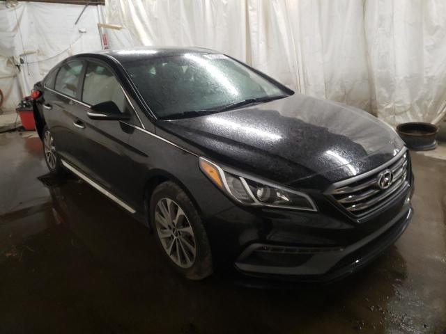 HYUNDAI SONATA SPO 2016 5npe34af2gh295834