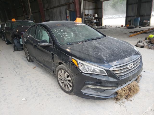 HYUNDAI SONATA SPO 2016 5npe34af2gh305116