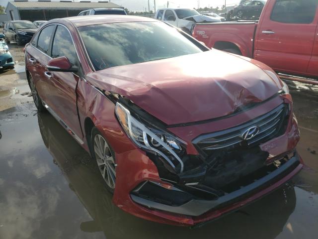 HYUNDAI SONATA SPO 2016 5npe34af2gh305245