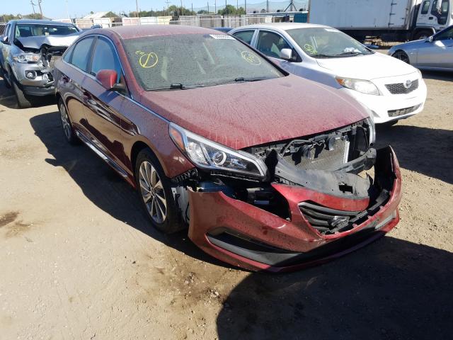 HYUNDAI SONATA SPO 2016 5npe34af2gh321509