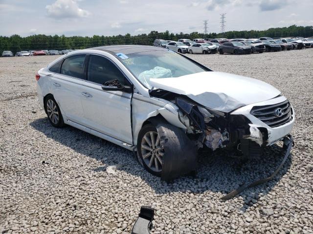 HYUNDAI SONATA SPO 2016 5npe34af2gh323566