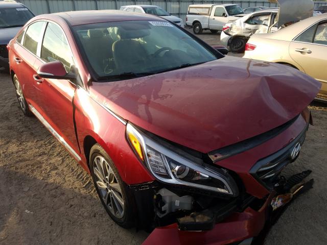 HYUNDAI SONATA SPO 2016 5npe34af2gh329240