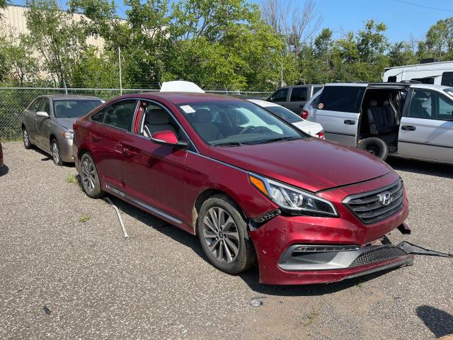 HYUNDAI SONATA SPO 2016 5npe34af2gh329383