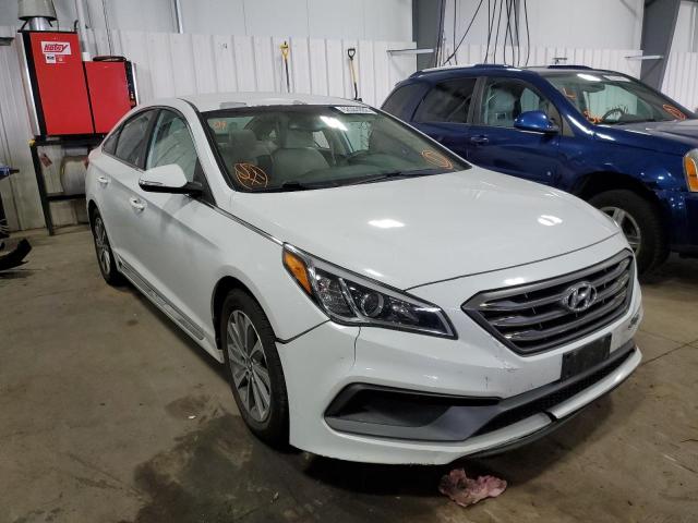 HYUNDAI SONATA SPO 2016 5npe34af2gh330856