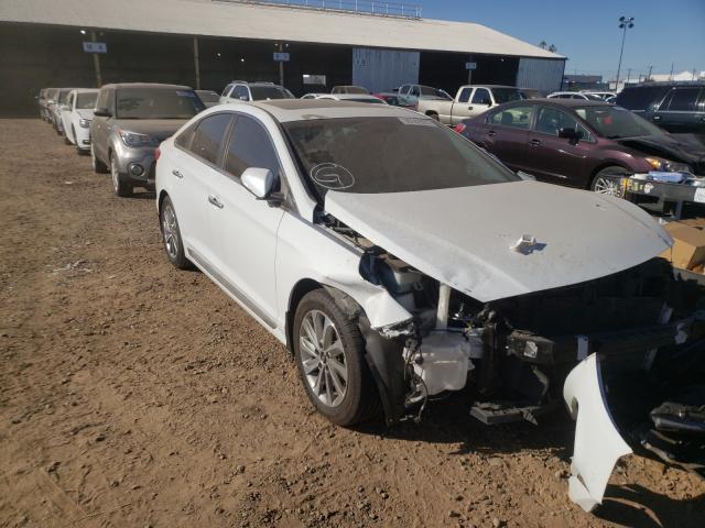 HYUNDAI SONATA SPO 2016 5npe34af2gh343557