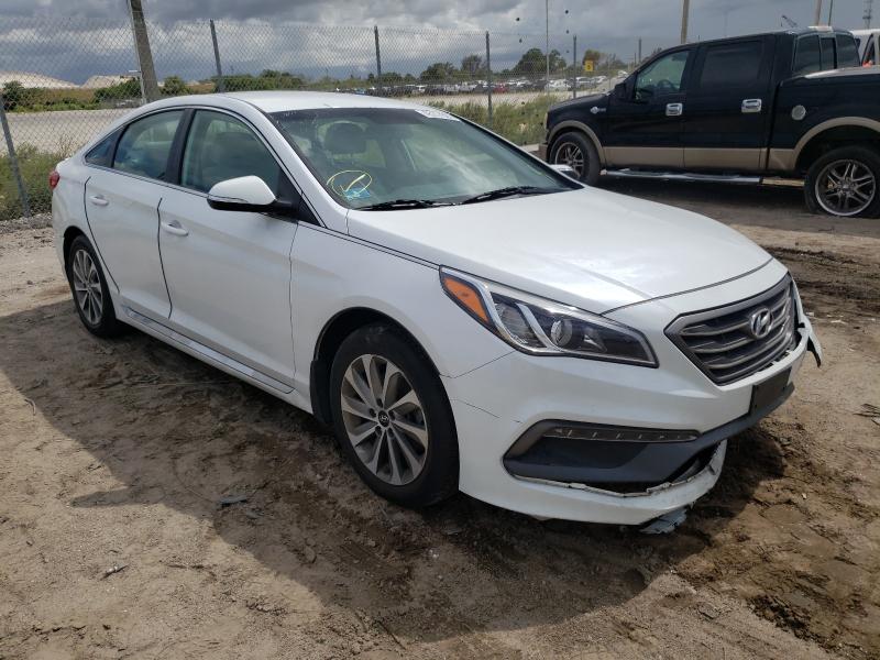 HYUNDAI SONATA SPO 2016 5npe34af2gh351951