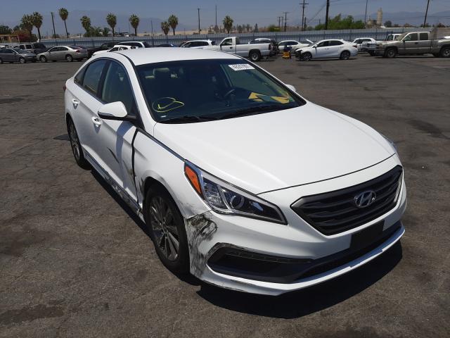 HYUNDAI SONATA SPO 2016 5npe34af2gh356597