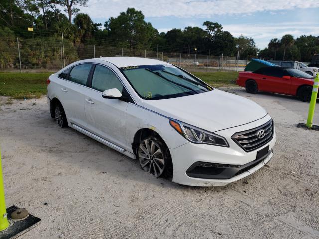 HYUNDAI SONATA SPO 2016 5npe34af2gh366885