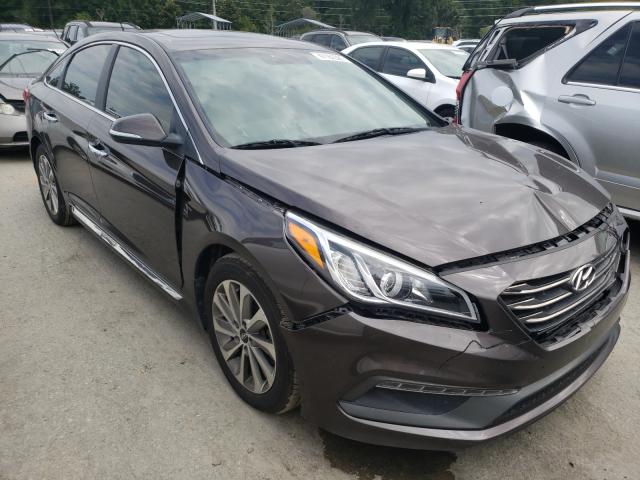 HYUNDAI SONATA SPO 2016 5npe34af2gh382522