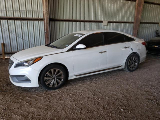 HYUNDAI SONATA SPO 2016 5npe34af2gh394671