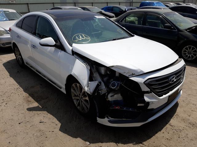 HYUNDAI SONATA SPO 2016 5npe34af2gh400971