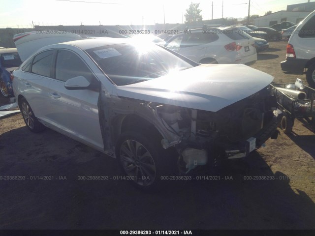 HYUNDAI SONATA 2016 5npe34af2gh403448