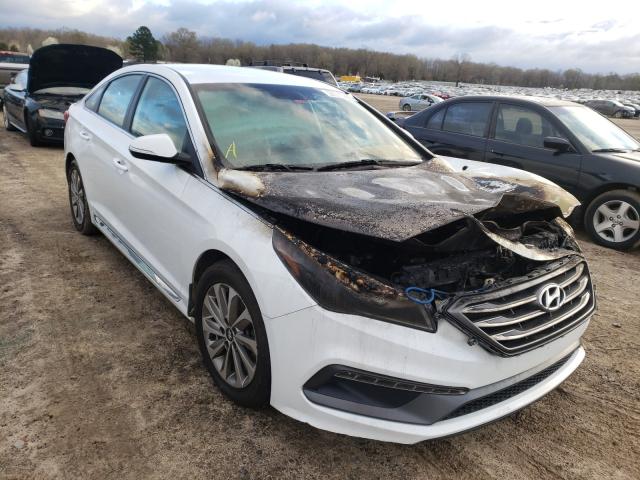 HYUNDAI SONATA SPO 2016 5npe34af2gh403627