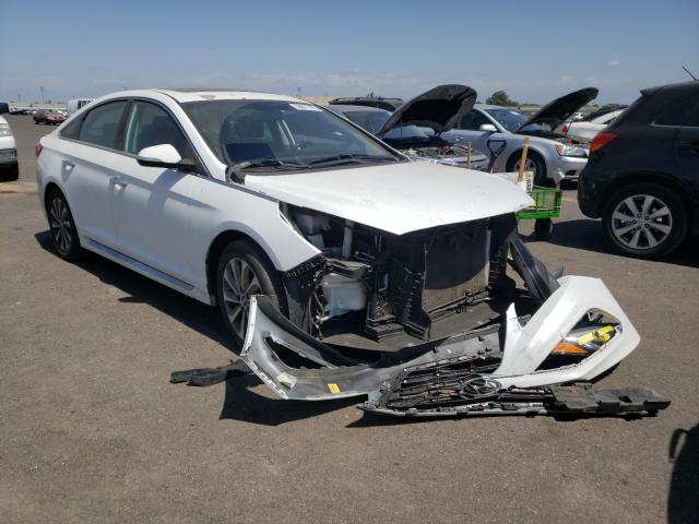 HYUNDAI SONATA SPO 2016 5npe34af2gh412490