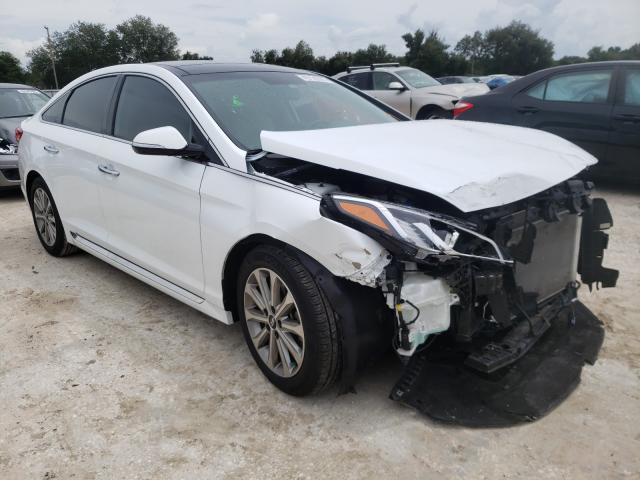 HYUNDAI SONATA SPO 2016 5npe34af2gh419536