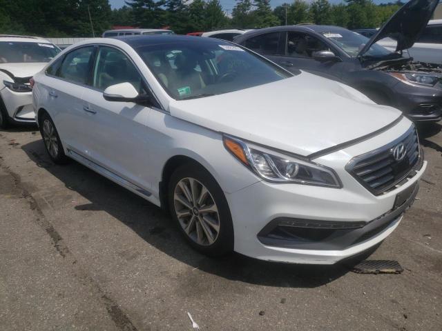 HYUNDAI SONATA SPO 2016 5npe34af2gh426275