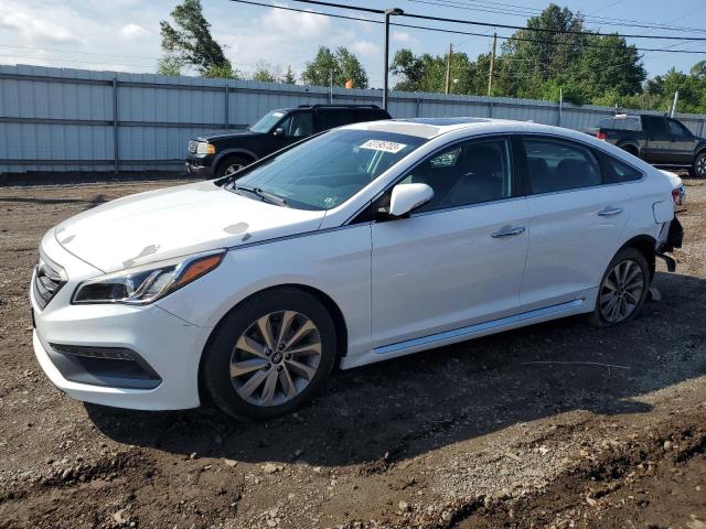 HYUNDAI SONATA SPO 2016 5npe34af2gh428804